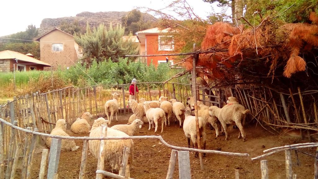 Отель Casa Titicaca Amantani Окосуйо Экстерьер фото